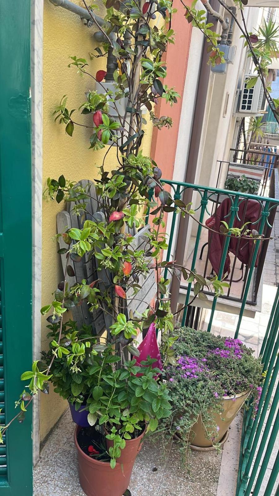 La Casa Di Nonna Sisina Villa Mola di Bari Ngoại thất bức ảnh